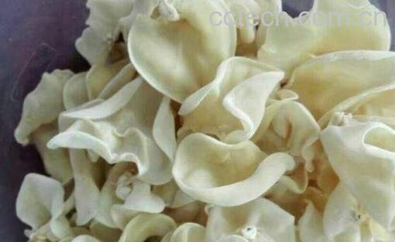 吃白玉木耳有什么好处 白玉木耳的禁忌-0