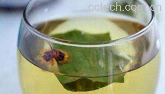 车前草怎么煮水喝 车前草煮水有什么功效-0