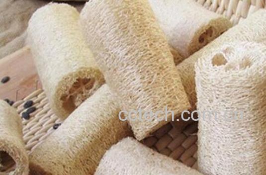 干丝瓜络的功效与作用-0