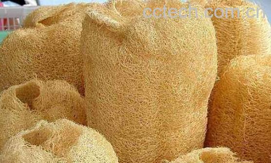 干丝瓜络的功效与作用-1