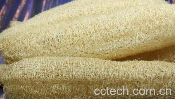 丝瓜络煮水泡脚的功效-1