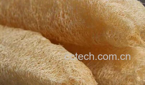 丝瓜络煮水泡脚的功效-0