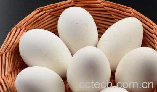 女性长期吃鹅蛋的好处与坏处-1