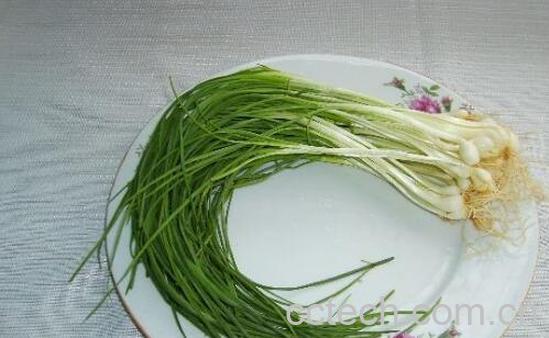 野葱哪些人不能吃 吃野葱的禁忌-1