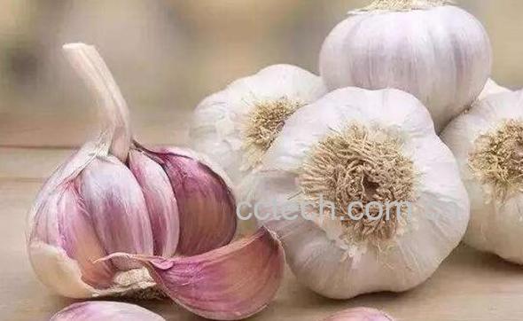 大蒜晚上吃如吃砒霜 吃大蒜的注意事项-1