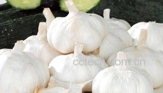 大蒜晚上吃如吃砒霜 吃大蒜的注意事项-0