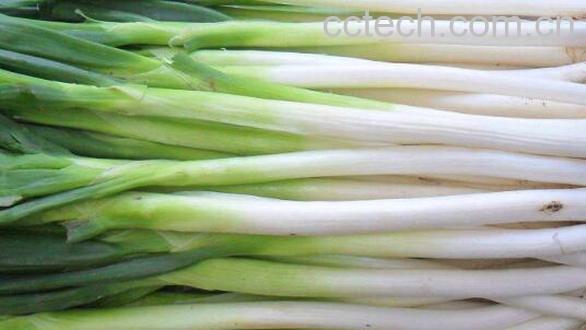 男人生吃大葱的功效-0