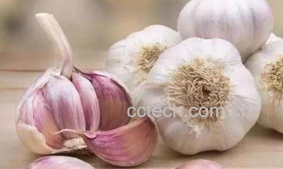 男人为何不能生吃大蒜 男人吃大蒜的好处-1