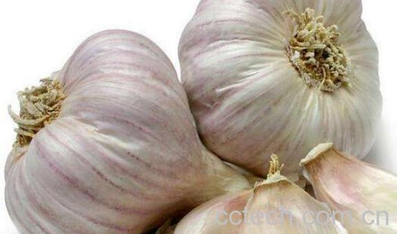 男人为何不能生吃大蒜 男人吃大蒜的好处-0