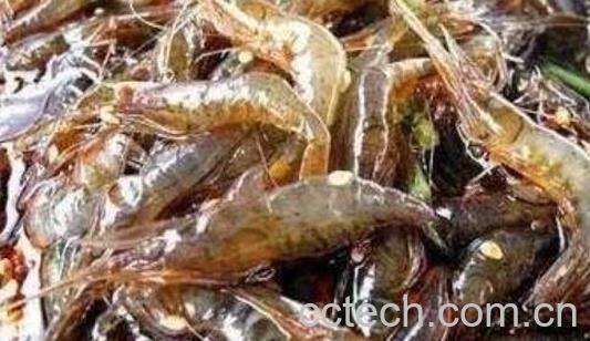 中国十大残酷吃法-0