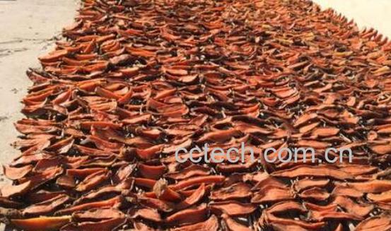 红薯藤晒干了怎么做好吃-1