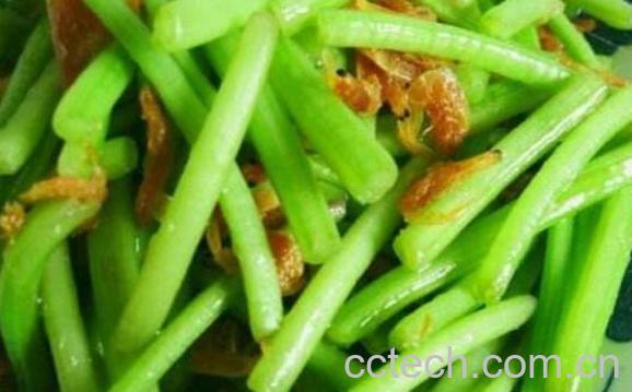 番薯藤的功效与作用-1