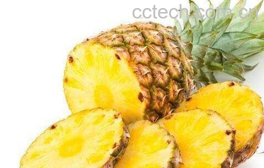 凤梨和菠萝的区别 凤梨和菠萝哪个好吃-0