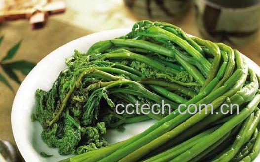 新鲜蕨菜的营养价值 新鲜蕨菜怎么处理才能吃-0