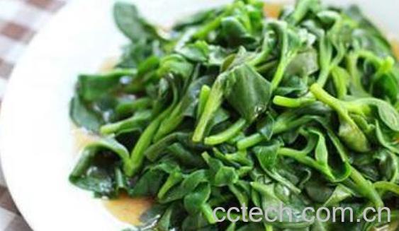 三七菜和田七菜的区别 吃三七菜的好处-0