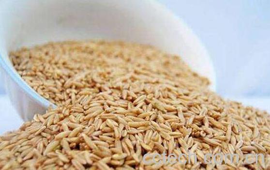 皮燕麦怎么吃 皮燕麦的食用方法-1