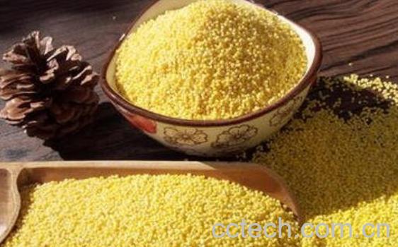 小黄米酒酿的制作方法-1