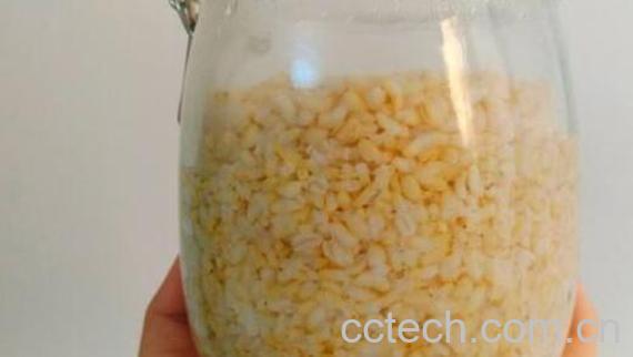 糙米酒怎么吃 糙米酒的食用方法-1