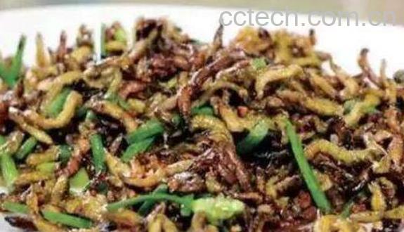 沙蚕能吃吗 沙蚕怎么吃-0