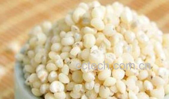 糯高粱米的功效与作用-0