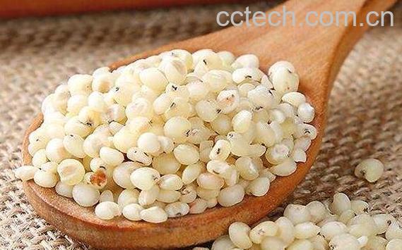 糯高粱米的功效与作用-1