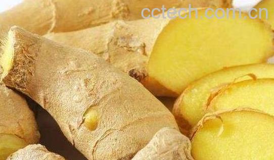 沙姜和生姜的区别-1