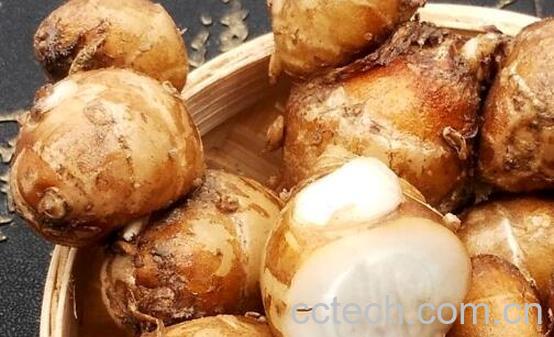 沙姜能生吃吗 沙姜如何食用-0