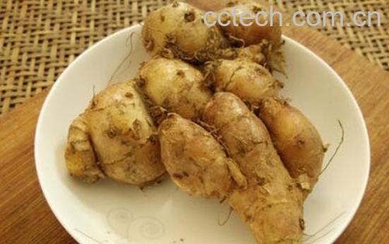 沙姜能生吃吗 沙姜如何食用-1