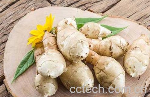 地姜的功效与作用-1
