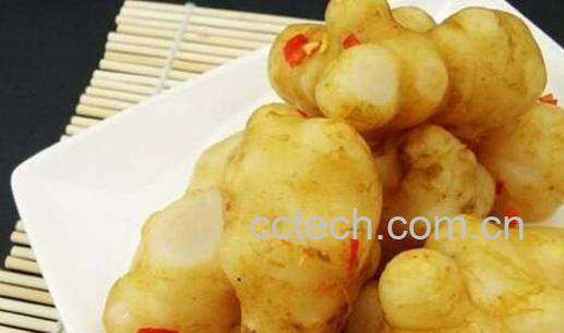 地姜的功效与作用-0