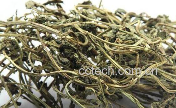 香草泡酒的功效与作用-0