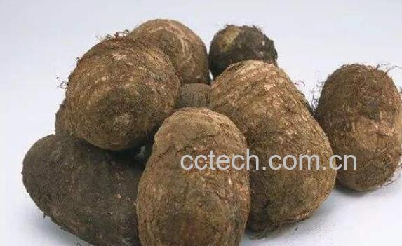 山芋头的功效与作用-0