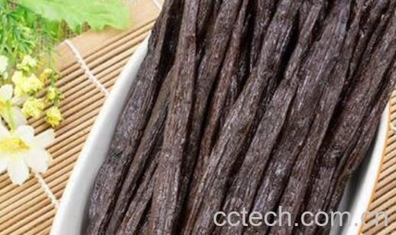 香草荚的功效与作用-1