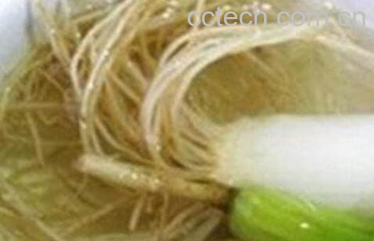 葱白生姜水的功效与作用及禁忌-1