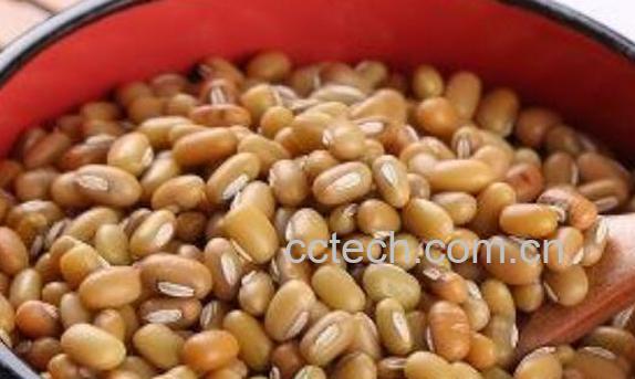 巴山豆的功效和作用 巴山豆的营养价值-1