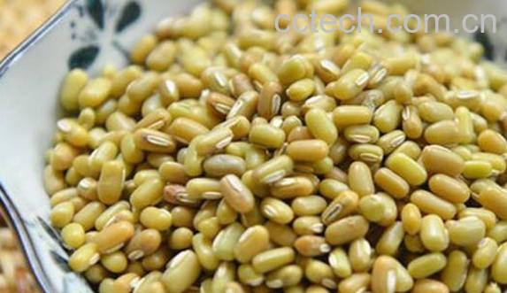 爬豆的功效与作用 吃爬豆的好处-0