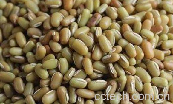 爬豆的功效与作用 吃爬豆的好处-1