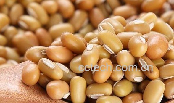 竹豆的功效与作用及禁忌-0