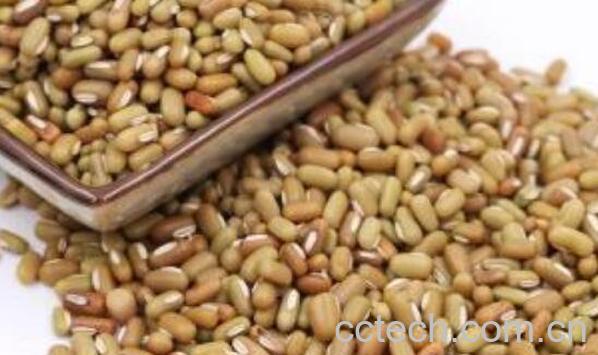 竹豆的功效与作用及禁忌-1