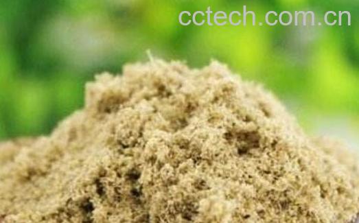 黄瓜籽粉人功效与作用 吃黄瓜籽粉的好处-1