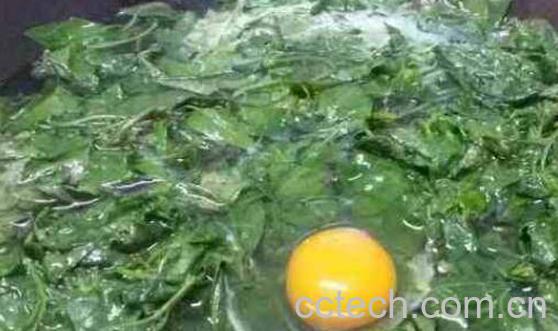 白花菜鸡蛋汤的功效与作用-0