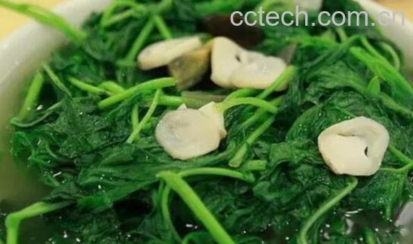 哪些人不宜吃白花菜 白花菜的副作用有哪些-0