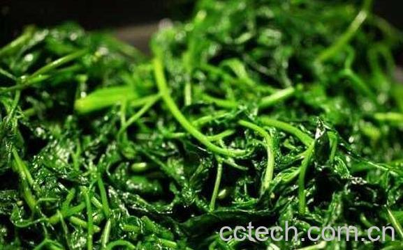 野生白花菜怎么吃 野生白花菜的做法教程-0