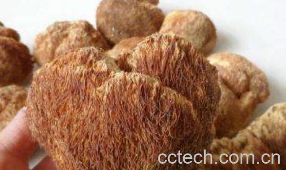 干猴头菇怎么泡发 干猴头菇一般泡多久-0
