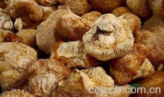 干猴头菇怎么泡发 干猴头菇一般泡多久-1