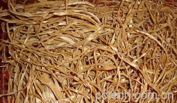 干竹笋迅速泡发有窍门-0