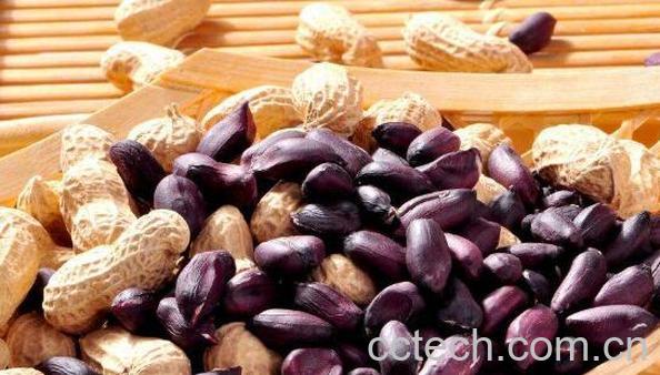 黑肉花生的功效与作用 黑肉花生的禁忌-0