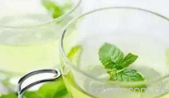 薄荷叶泡水的功效与作用及禁忌-1