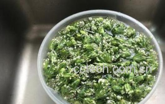 韭菜花的功效与作用 韭菜花的禁忌-0