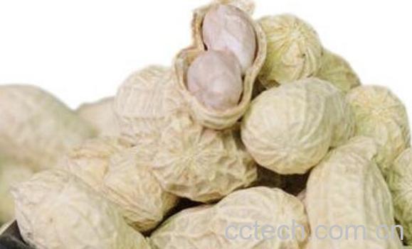 晒干花生的功效与作用-1